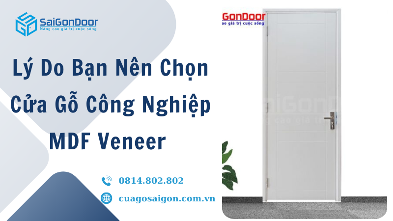 Lý Do Bạn Nên Chọn Cửa Gỗ Công Nghiệp MDF Veneer