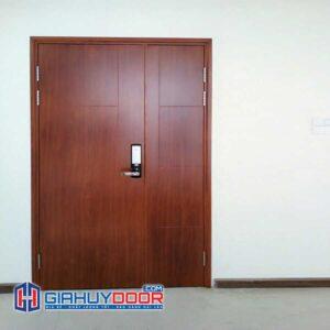 Cửa thép vân gỗ 19