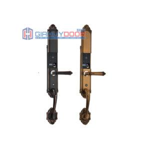 Khóa điện tử 39813