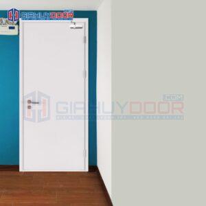 Cửa thép chống cháy TCC.P1-C4