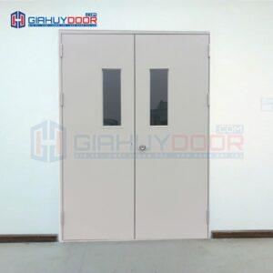 Cửa thép chống cháy TCC.P3G2-C1