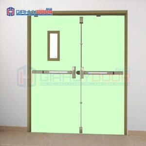 Cửa thép chống cháy TCC.P3G2-C6