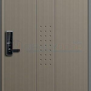 CỬA THÉP HÀN QUỐC THQ-407-GH