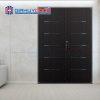 Cửa thép Hàn Quốc THQ B-502-RB (DOUBLE)