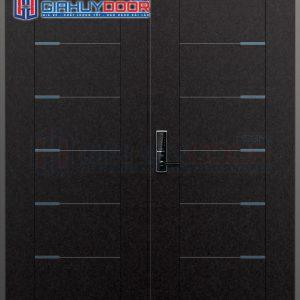 Cửa thép Hàn Quốc THQ B-502-RB (DOUBLE)