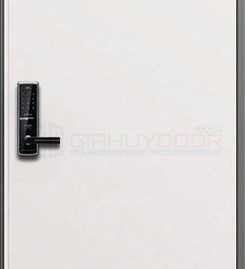 Cửa thép Hàn Quốc THQ MH