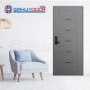 Cửa thép Hàn Quốc THQ RB-503-G