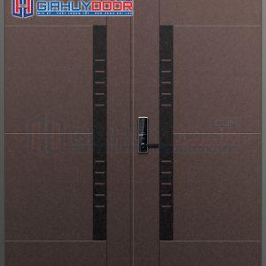 Cửa thép Hàn Quốc THQ RB-641-R (DOUBLE)
