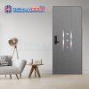 Cửa thép Hàn Quốc THQ S-633-G
