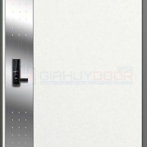 Cửa thép Hàn Quốc THQ S-634-H