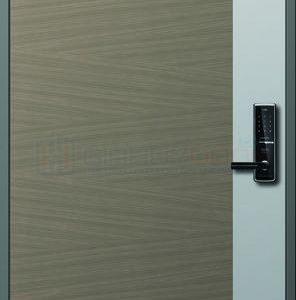 Cửa thép Hàn Quốc THQ 102_S