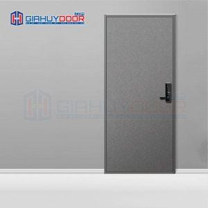Cửa thép Hàn Quốc THQ G_S