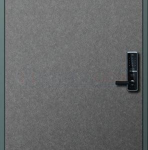 Cửa thép Hàn Quốc THQ G_S