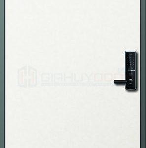 Cửa thép Hàn Quốc THQ H_S