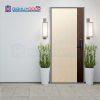 Cửa thép Hàn Quốc THQ IT_S