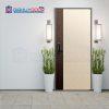 Cửa thép Hàn Quốc THQ IT_T
