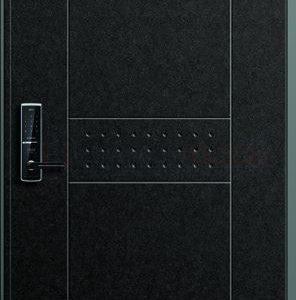 Cửa thép Hàn Quốc THQ RB_T