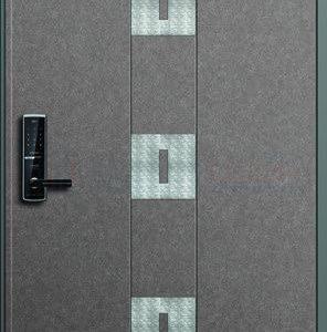 Cửa thép Hàn Quốc THQ SV-609-G_T
