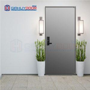Cửa thép Hàn Quốc THQ V_T