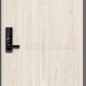 Cửa thép Hàn Quốc THQ WH