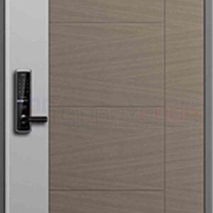 Cửa thép Hàn Quốc THQ 404 (2)