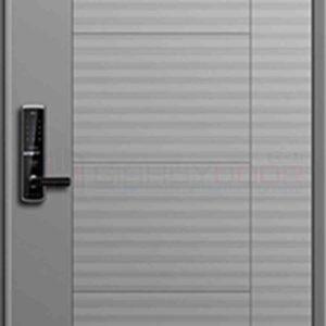Cửa thép Hàn Quốc THQ 404
