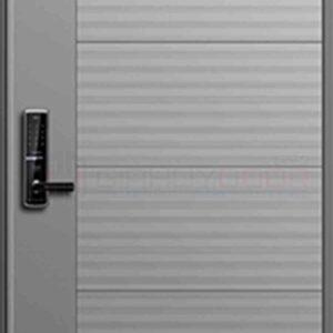 Cửa thép Hàn Quốc THQ 415 (2)