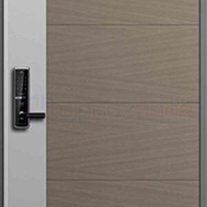 Cửa thép Hàn Quốc THQ 415