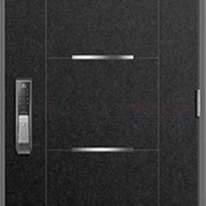 Cửa thép Hàn Quốc THQ 503