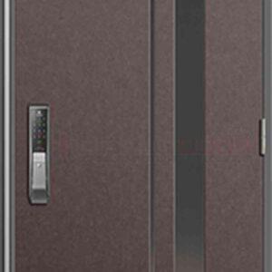 Cửa thép Hàn Quốc THQ 653