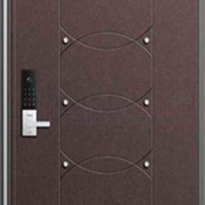 Cửa thép Hàn Quốc THQ 768