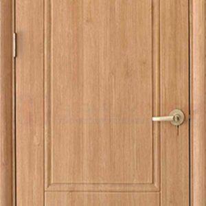 Cửa nhựa ABS Hàn Quốc KOS 609-FZ805 (3)