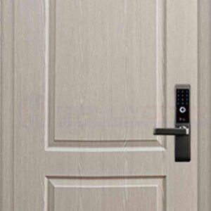 Cửa nhựa ABS Hàn Quốc KOS 610-K0201 (2)