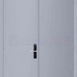 Cửa gỗ chống cháy GCC 2P son xam