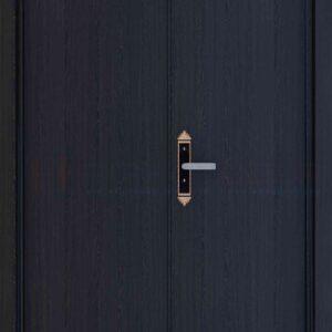 Cửa gỗ công nghiệp MDF Laminate 2P1
