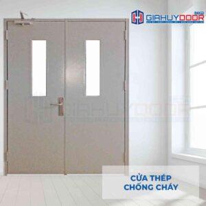 Cửa thép chống cháy TCC 2P1G2 xam