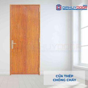 Cửa thép chống cháy TCC P1 van go (2)