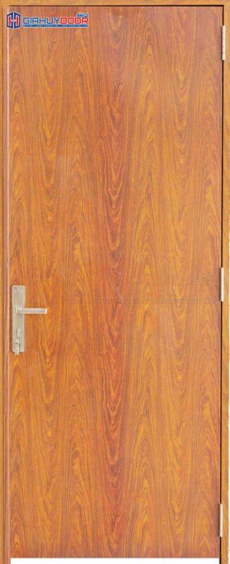 Cửa thép chống cháy TCC P1 van go (2)