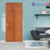 Cửa thép chống cháy TCC P1 van go (4)v