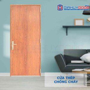 Cửa thép chống cháy TCC P1 van go