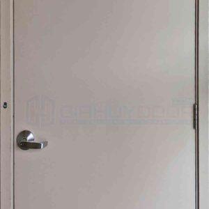 Cửa thép chống cháy TCC P1 xam trang dung cui cho hoi thuy luc