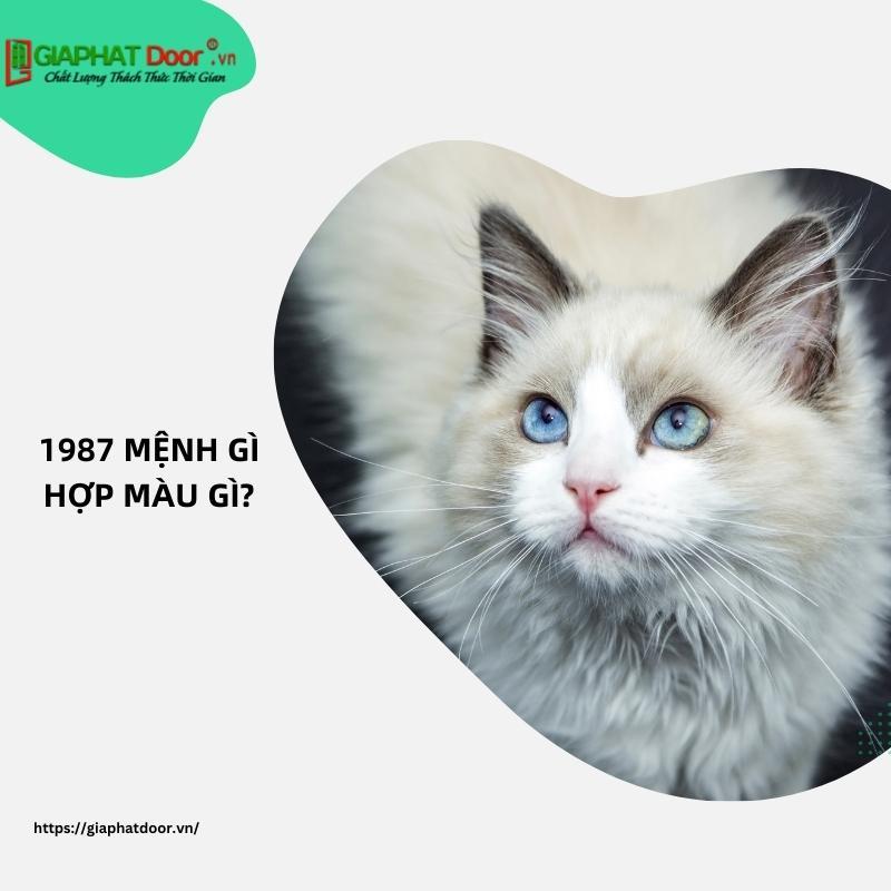 1987 mệnh gì hợp màu gì