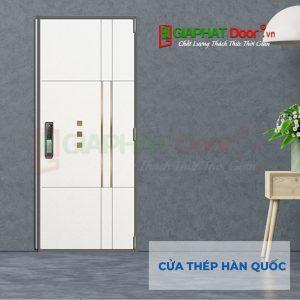 Cửa Thép Hàn Quốc 651