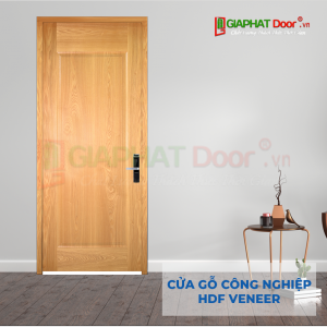 Cửa Gỗ Công Nghiệp HDF Veneer 1B ash (2)
