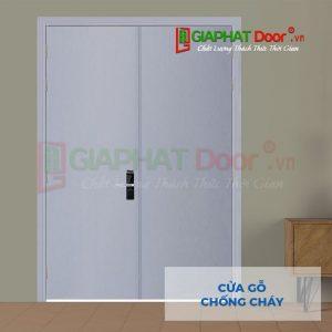 Cửa Gỗ Chống Cháy 2P son xam