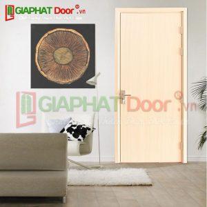 Cửa Nhựa Gỗ Sungyu GPD SYB.P1-B01