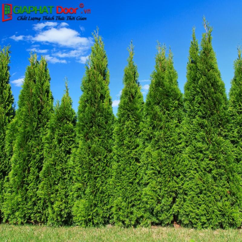 Các mệnh tương hợp, hỗ trợ mang lại may mắn cho Giản Hạ Thủy