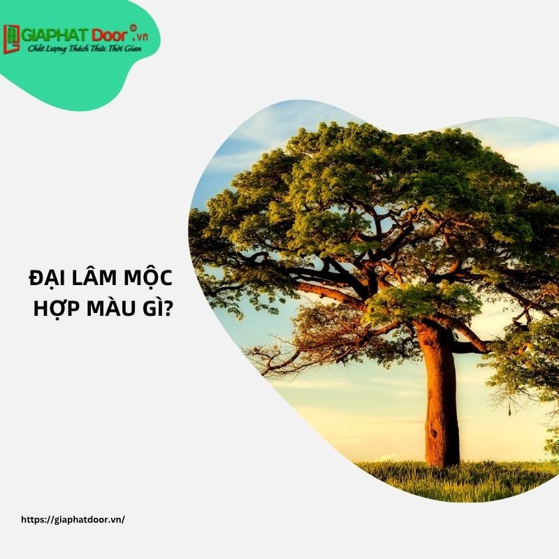 Đại Lâm Mộc hợp màu gì?