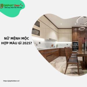 Nữ mệnh Mộc hợp màu gì 2025?