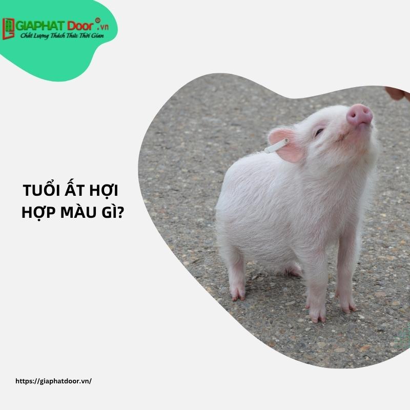 tuổi Ất Hợi hợp màu gì